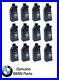 12_Quarts_Genuine_BMW_HIGH_PERFORMANCE_5w30_Synthetic_Engine_Motor_Oil_01_fxp