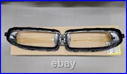 BMW Front Ornamental Grille Carbon M Performance Fits G42 Genuine 51719627307