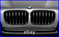 BMW Genuine Front Left Trim Performance Kidney Grille Black X5/X6 51712150247