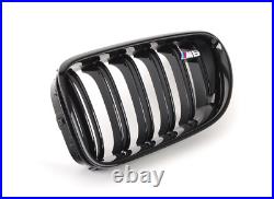 BMW Genuine M Performance Front Left Grille Trim Gloss Black Finish 51712352809