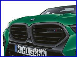 BMW Genuine M Performance Front Ornamental Grille Carbon Replacement 51135A69BE4 BMW Genuine M Performance Front Ornamental Grille Carbon Replacement 51135A69BE4