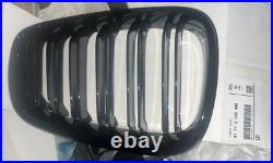 BMW Genuine M Performance Front Right Grille Trim Gloss Black 51712355448