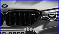 BMW Genuine M Performance Trim Front Ornamental Grille F90 M5 51132456162