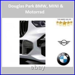 BMW Genuine Trim Brake Air Inlet Carbon Left/Right (M Performance) X5-G08 G18