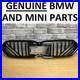GENUINE_BMW_F70_M_Performance_Front_Grille_Black_51135A3CF58_Shadow_Line_26X_01_vtse