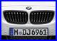Genuine_BMW_Black_Grills_M_Performance_2_Series_F22_51712336816_815_LLOYD_01_tl